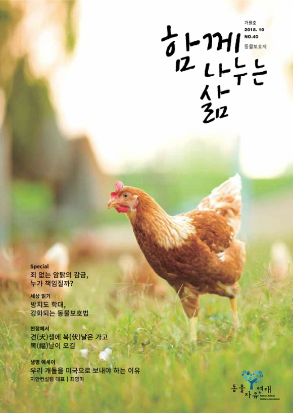 [NO.40] 죄 없는 암탉의 감금, 누가 책임질까?