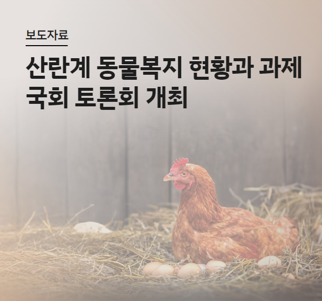 [보도자료] 동물자유연대, 산란계 동물복지 현황과 과제 토론회 개최