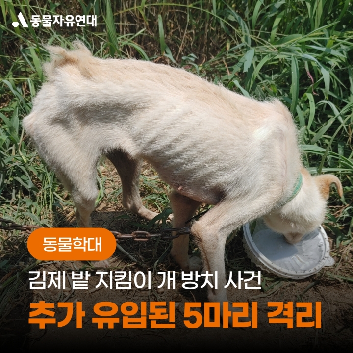 루비