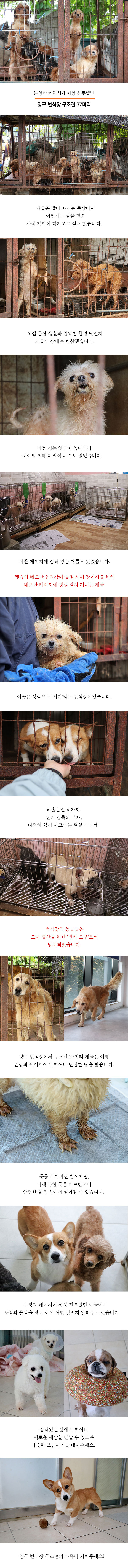 짱푸