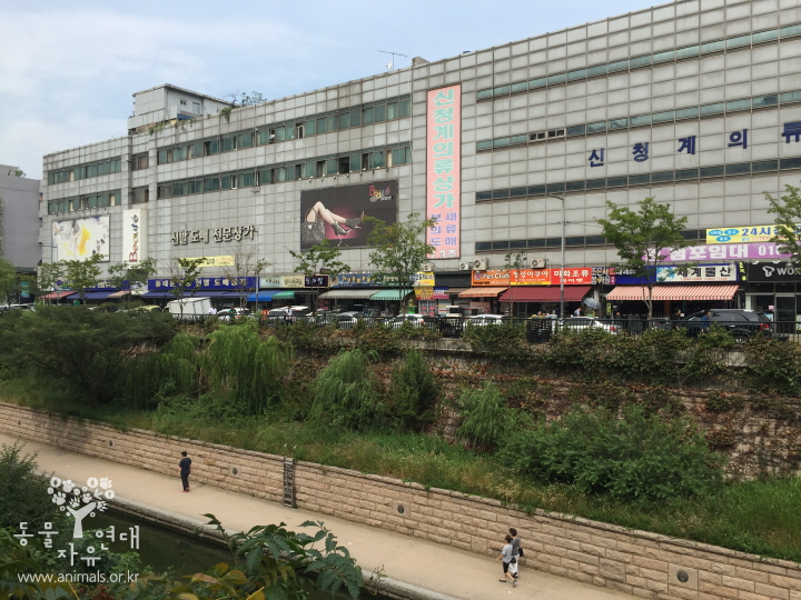 청계천의 국제적멸종위기종(CITES) 거래 실태