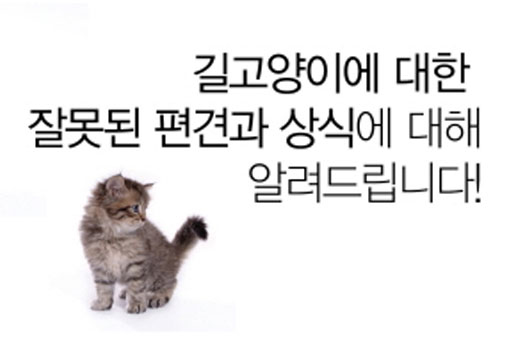 길고양이에게 밥을 준다는 이유로 이웃과 갈등이 발생한다면?