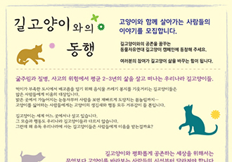 [길고양이와의 동행] 여러분 삶 속의 고양이 이야기를 모집합니다(마감)