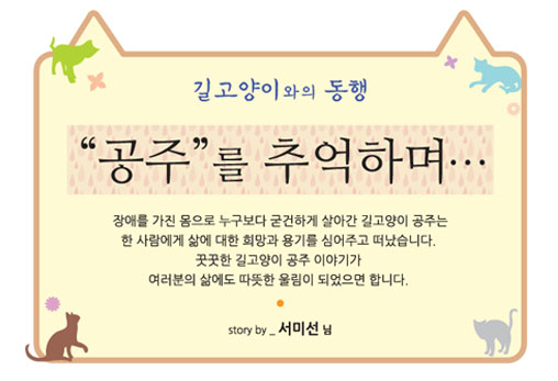 [길고양이와의 동행] 고양이 이야기 2편 - '공주'를 추억하며