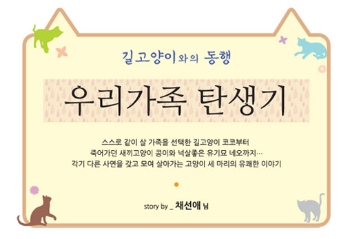 [길고양이와의 동행] 고양이 이야기 3편 - 우리가족 탄생기