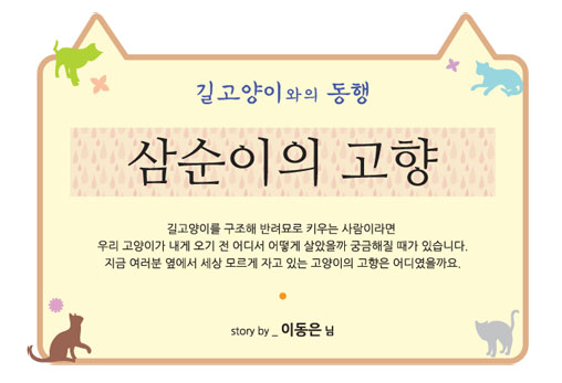 [길고양이와의 동행] 고양이 이야기 5편 - 삼순이의 고향