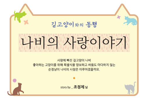 [길고양이와의 동행] 고양이 이야기 9편 - 나비의 사랑이야기