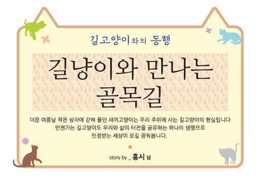 [길고양이와의 동행] 고양이 이야기 10편 - 길냥이와 만나는 골목길