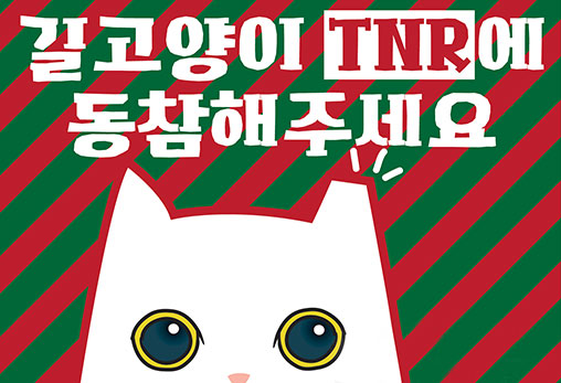 길고양이 TNR이란?