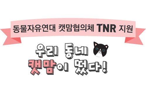 [2016 지역캣맘협의체 TNR지원] 성남시캣맘협의회의 길고양이 등짝홀라당~