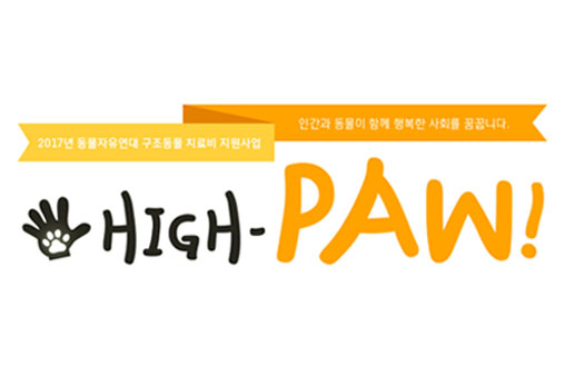 [HIGH-PAW] 3월 지원 후기