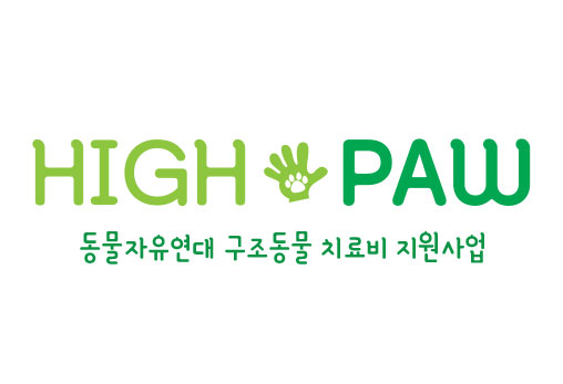 [HIGH-PAW 지원후기] 위기의 길고양이에서 애교쟁이 막내가 된 땡삐