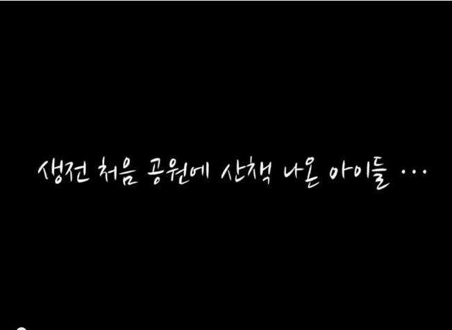 동물자유연대 아이들이 평생 산책 파트너를 찾습니다.