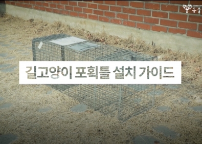 NEW 길고양이 포획틀 설치 가이드 영상