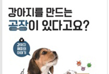 강아지를 만드는 공장이 있다고요? (교원 <위즈키즈>)