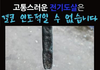 [개식용 철폐][11월 15일 ‘개 전기도살’ 유죄판결 촉구 기자회견 안내] 잔인한 ‘개 전기도살’은 ‘명백한 유죄’입니다!