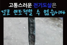 [11월 15일 ‘개 전기도살’ 유죄판결 촉구 기자회견 안내] 잔인한 ‘개 전기도살’은 ‘명백한 유죄’입니다!