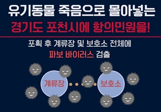 전염성 질병으로부터 안전한 곳은 한 곳도 없었다! 유기동물 포획에서부터 드러난 포천시의 부실한 전염성 질병 관리 