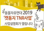 [3/12 마감] 2019 '캣동지TNR사업' 사업설명회를 개최합니다!