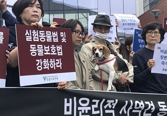 [실험동물] 비윤리적 사역견 동물실험으로 죽어간 메이의 죽음에 청와대가 답하다