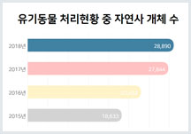 [유기동물] 고통사 방지 활동 ① - 유기동물 보호소는 왜 동물들의 '무덤'이 되었나?