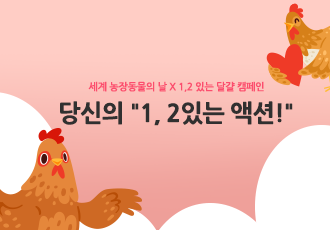 [농장동물] 일리 1,2 있는 달걀 캠페인 당첨자를 발표합니다!