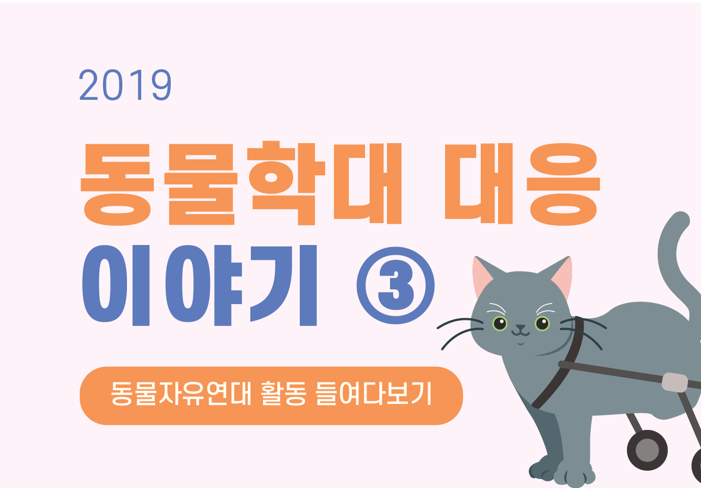 [동물학대] 2019 동물학대 대응이야기 3탄