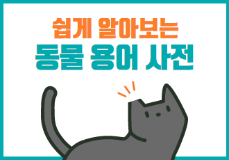 [쉽게 알아보는 동물 용어 사전] TNR? 귀 잘린 길고양이? 다친 게 아니에요!