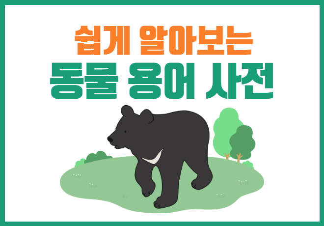 [쉽게 알아보는 동물 용어 사전] 곰이 뭐...어디로 간다고? 생츄어리!