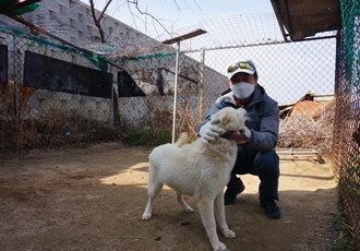 [반려동물] 고성 산불 1년, 화마의 현장을 다시 찾다 ① 남은 동물들의 이야기