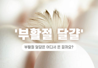 [일리(1,2)있는달걀] 손에 쥐어진 부활절의 달걀, 어디서 온 걸까?