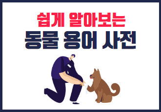 [쉽게 알아보는 동물 용어 사전] 우리 동네에도 동물보호를 담당하는 공무원이 있을까?