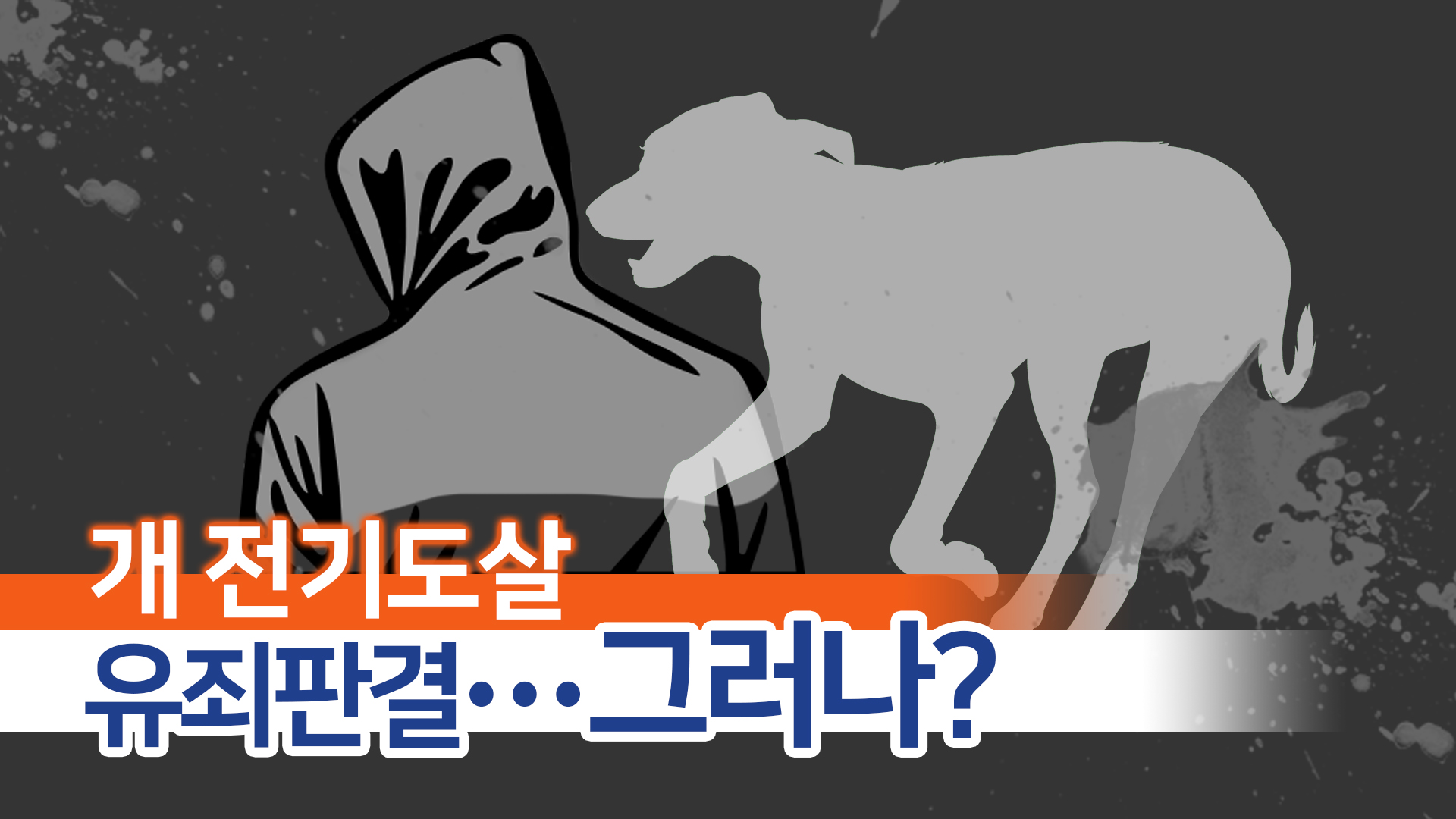 [개식용 철폐] 인천 개 전기도살사건 유죄판결이 우리에게 주는 의미