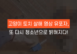 [동물학대] 고양이 토치 살해 영상 유포자, 또 다시 청소년으로 밝혀지다!