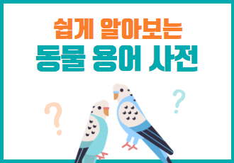 [쉽게 알아보는 동물 용어 사전] '윙컷', 반려조에게 필수일까요? 