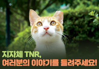 [동네고양이] 말도 많고 탈도 많다는 지자체 TNR, 여러분의 이야기를 들려주세요!  