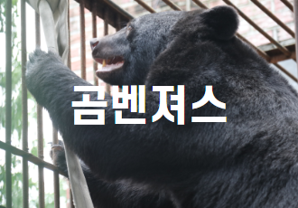 [사육곰] 사육곰을 위해 우리가 어떤일을 할 수 있을까? '곰벤져스 : 행동풍부화 연구소'를 모집합니다!