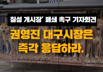 [개식용 철폐] 칠성 개시장 폐쇄, 권영진 대구시장은 즉각 응답하라!