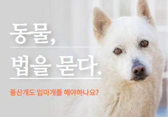 [동물 법을 묻다] 풍산개도 입마개를 해야 하나요?