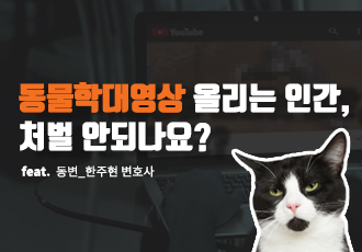 [동물, 법을 묻다] 변호사와 함께하는 Q&A 1탄⁉