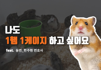 [동물, 법을 묻다] 변호사와 함께하는 Q&A 2탄⁉