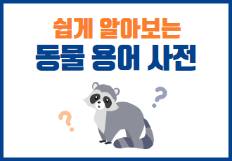 [쉽게 알아보는 동물 용어 사전] 라쿤이 '생태계위해우려 생물'이라고요? 