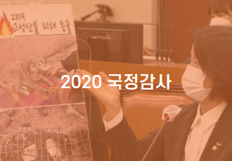 [2020 국정감사] 행안부 장관 “시민들이 알아서 반려동물과 잘 대피하고 있다” 🔊  👥👤👥(뭐라고? 지진나도 집에 있었는데?)