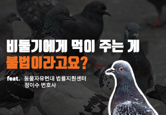 [동물, 법을 묻다] 변호사와 함께하는 Q&A 8탄⁉ 