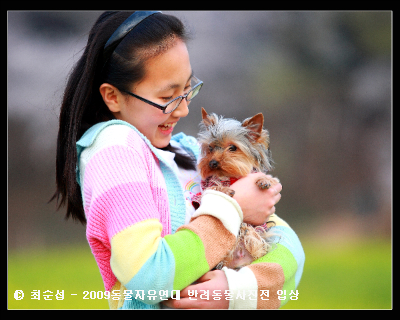 반려동물의 행복한 새 집 찾아주기를 위한 8가지 체크리스트