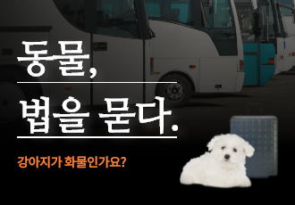 [동물 법을 묻다] 강아지가 화물인가요?