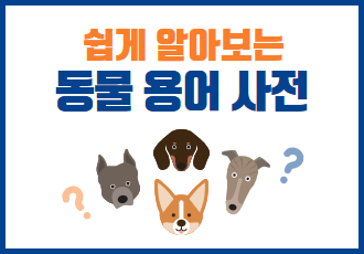 [쉽게 알아보는 동물 용어 사전] 동물을 많이 키우면 다 '애니멀 호더'인가요?