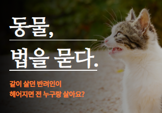 [동물 법을 묻다] 같이 살던 반려인이 헤어지면 전 누구랑 살아요?