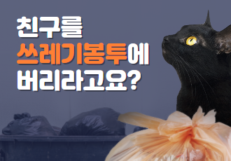 [동물, 법을 묻다] 변호사와 함께하는 Q&A 14탄⁉