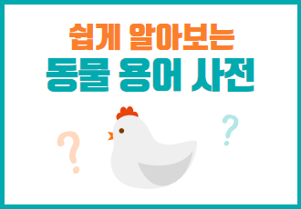 [쉽게 알아보는 동물 용어 사전] '배터리 케이지', 뭐가 문제죠?